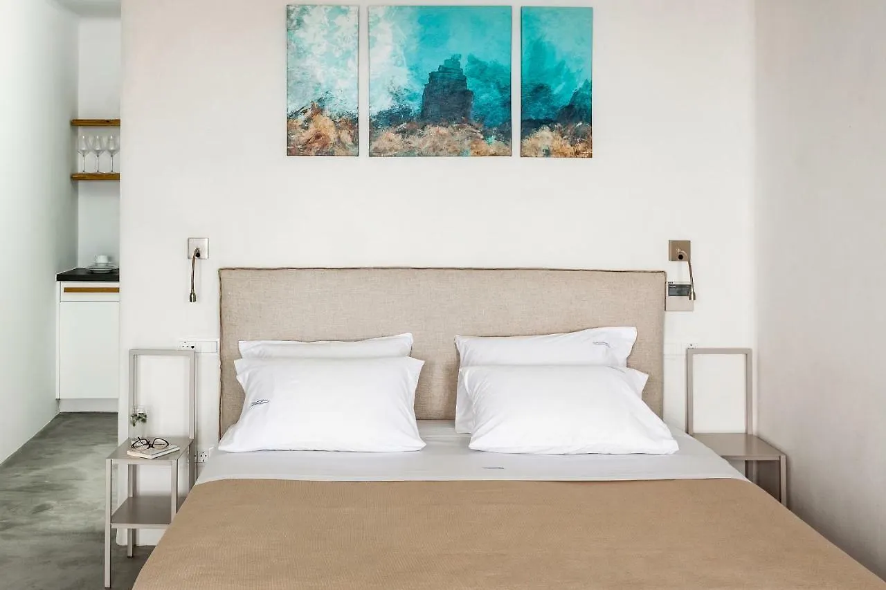 Luxury Villa Artemis By Mykonos Luxury Elia